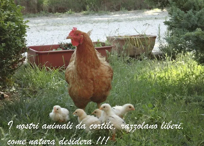 Casa Monte Albano فندق مبيت وإفطار