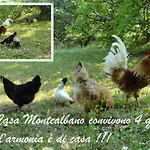 Casa Monte Albano Experience Bed & Breakfast Cesena