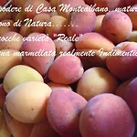 Bed & Breakfast Casa Monte Albano Experience