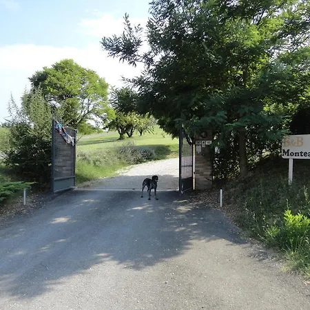 Bed & Breakfast Casa Monte Albano Experience 3*