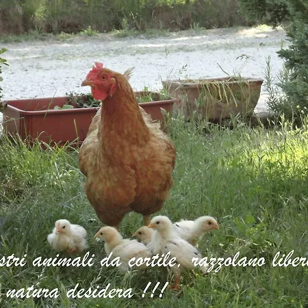 Casa Monte Albano Experience Frühstückspension