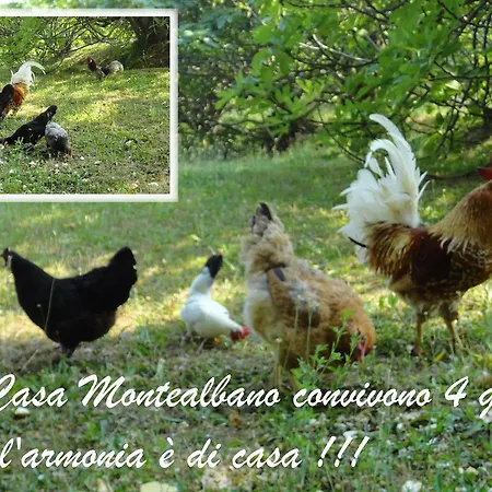 Casa Monte Albano Experience Frühstückspension Cesena