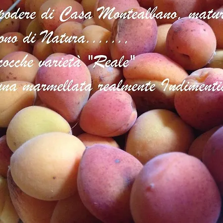 Bed & Breakfast Casa Monte Albano Experience