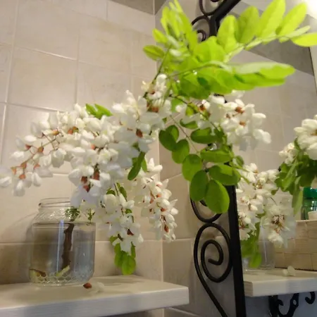 Bed & Breakfast Casa Monte Albano Experience Cesena