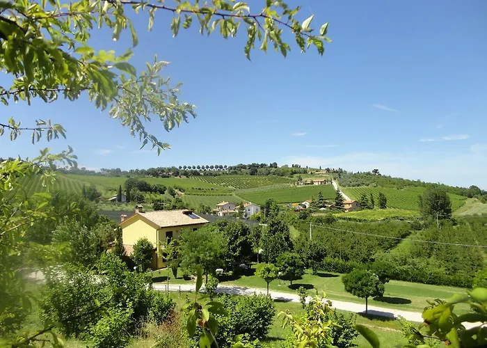 Casa Monte Albano Experience Bed & Breakfast