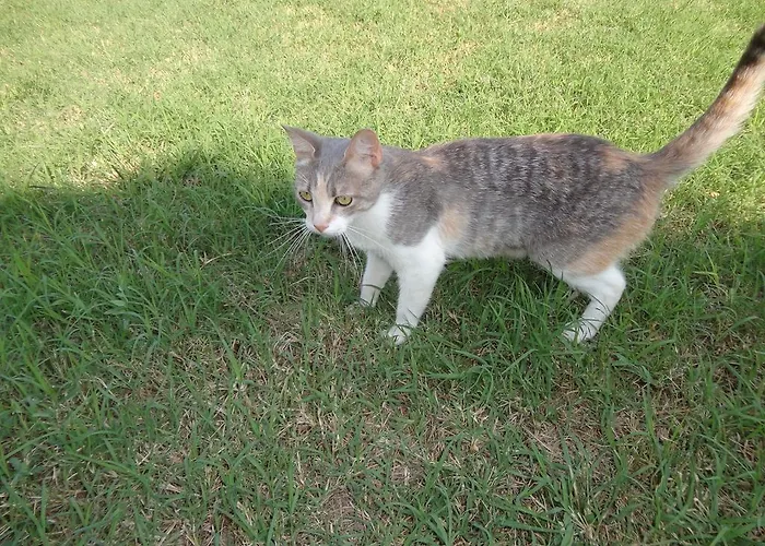 Casa Monte Albano Experience