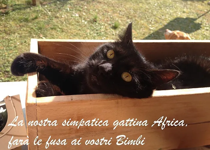 Casa Monte Albano Experience 3* Τσεζένα