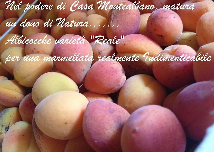 فندق مبيت وإفطار Casa Monte Albano